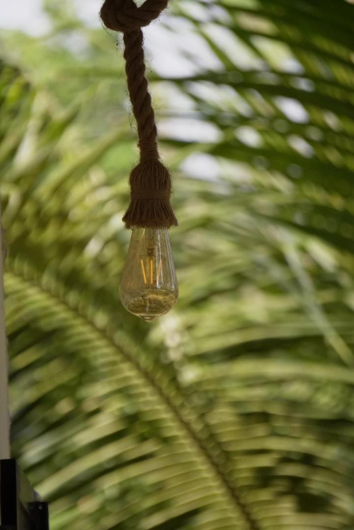 Coco Inn Goa Candolim Eksteriør bilde
