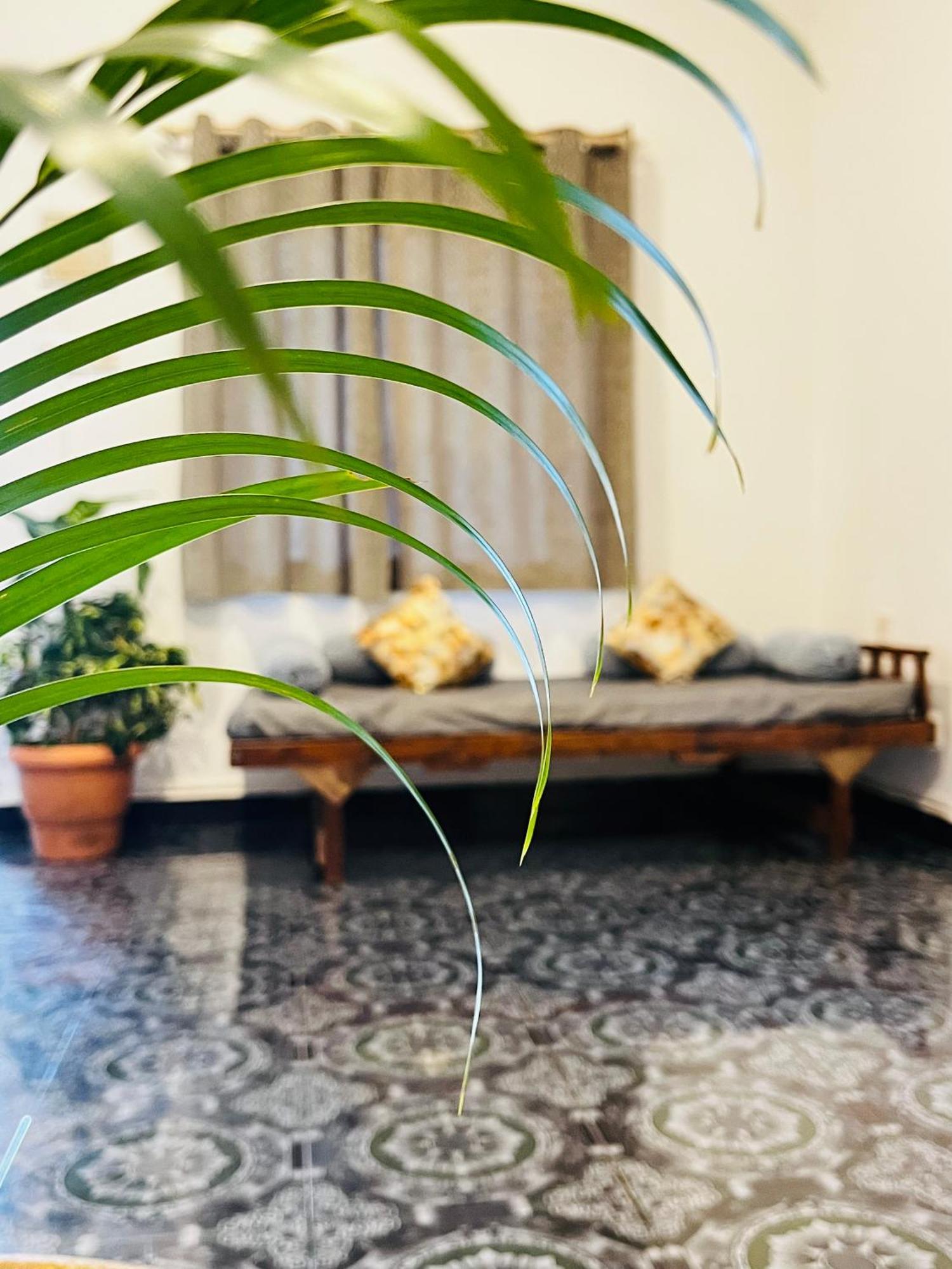 Coco Inn Goa Candolim Eksteriør bilde